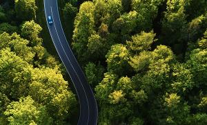 Aerial view of a car moving on road through forest