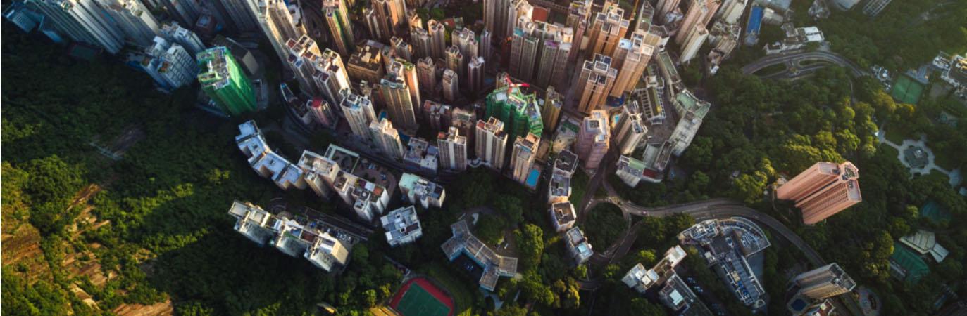 Bird's eye view of a city with skyscrapers and trees Bird's eye view of a city with skyscrapers and trees